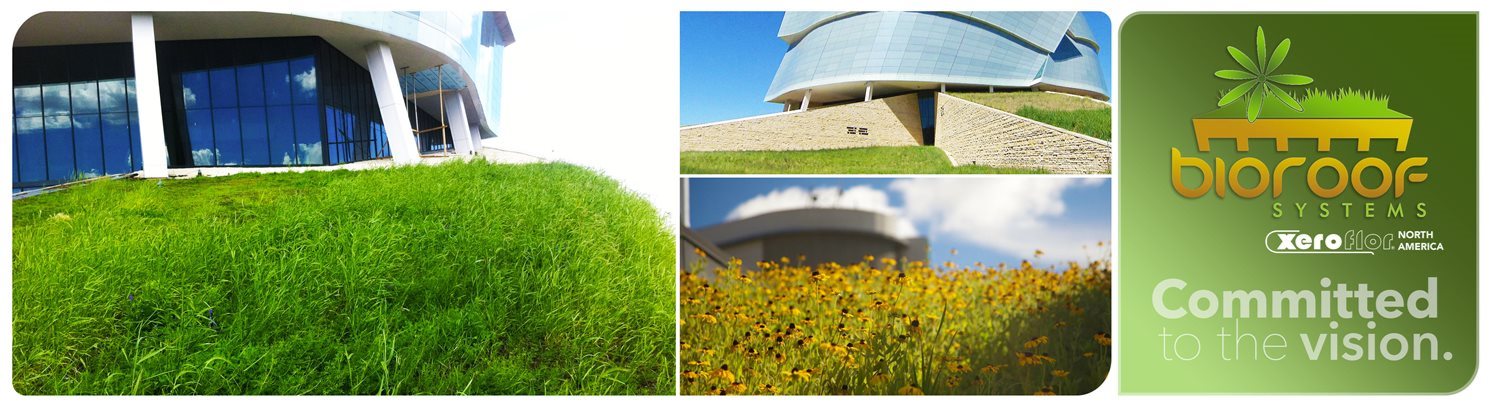 Green Roof System