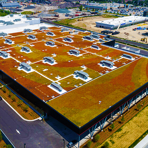 Green Roof System